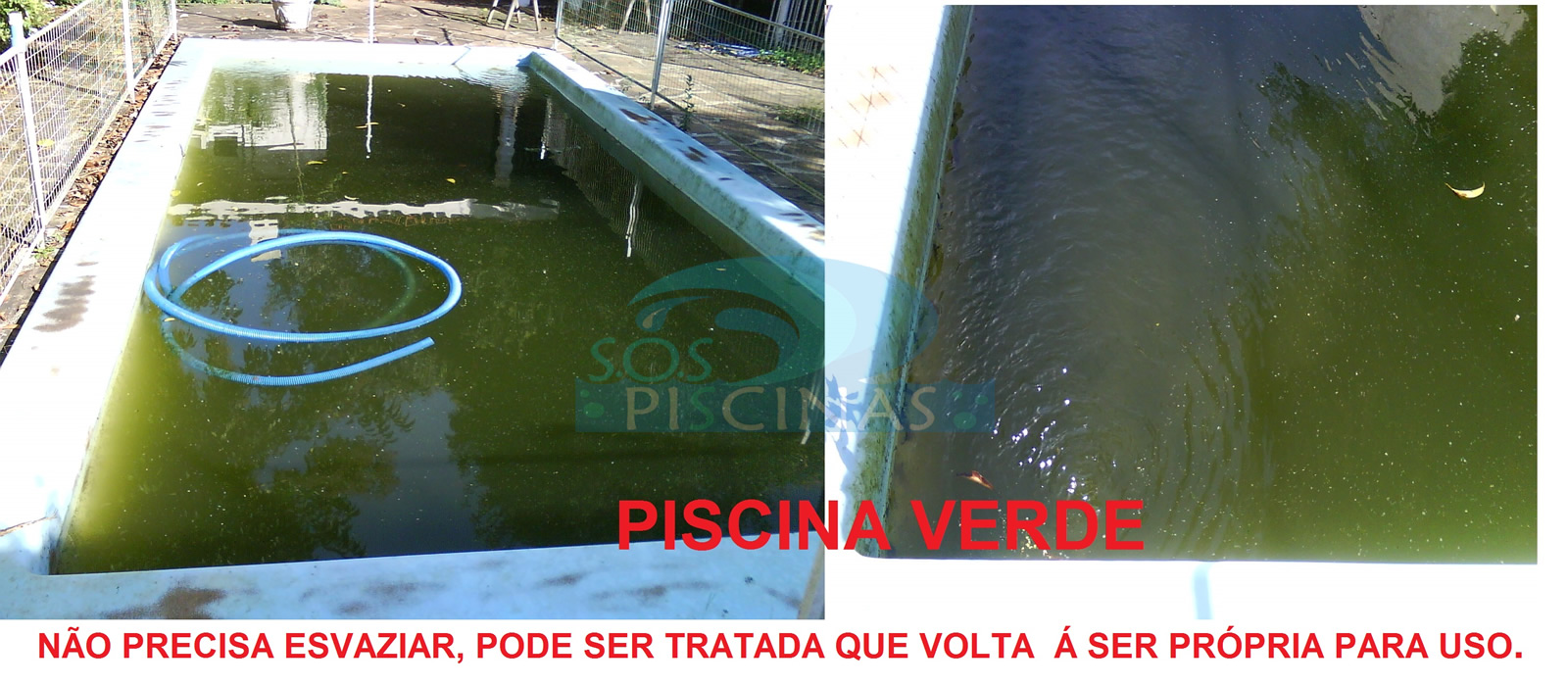 Piscina_verde (2)